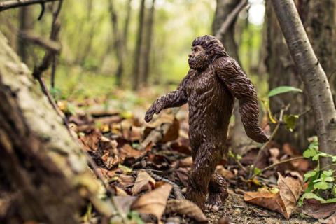 Bigfoot figurine posed walking among woods.