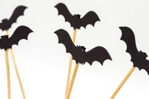 Felt bat crafts on long sticks.