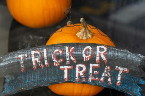 Trick or treat sign painted on wood in front of two pumpkins.