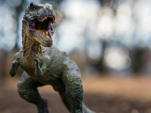 Toy t-rex roaring.