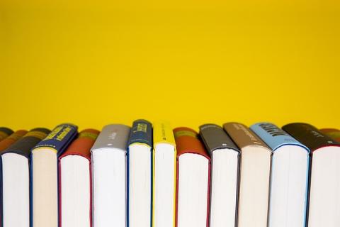 A row of book spines lined up along a mustard yellow wall. 