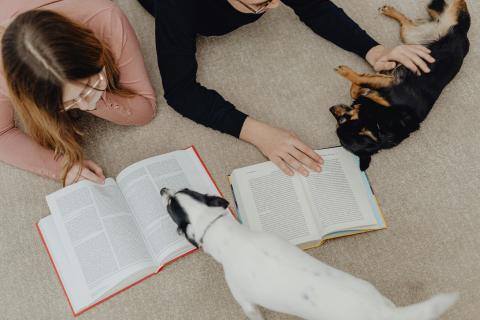 Two children laying on carpet, reading to two dogs.