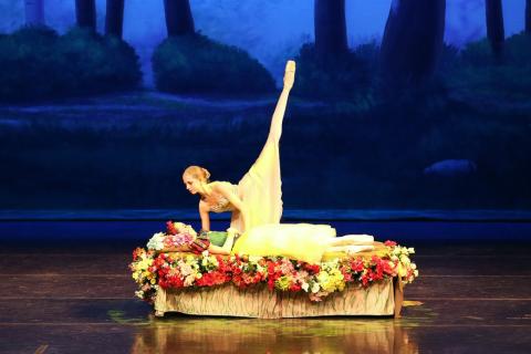 Nutcracker Ballet from Littleton Ballet Academy