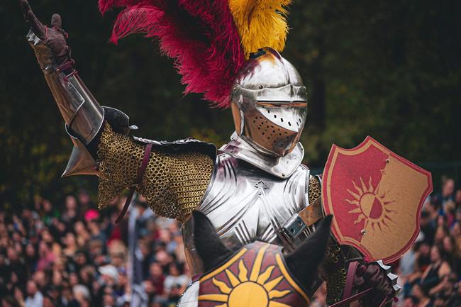 Body from waist up in armor, one arm raised and the other holding a shield.