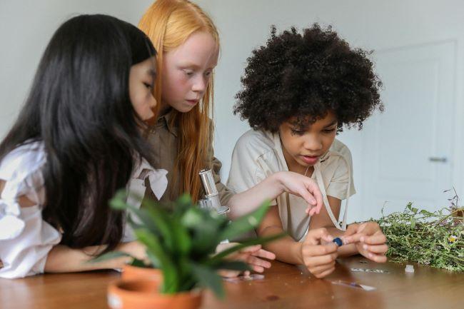 Three children examining plants.