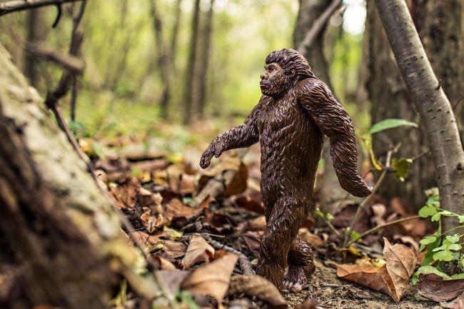 Bigfoot figurine posed walking among woods.