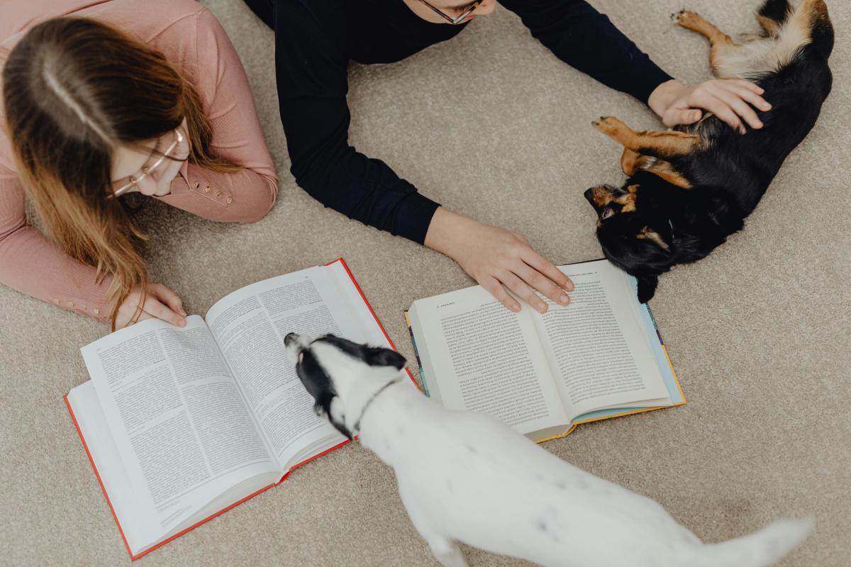 Two children laying on carpet, reading to two dogs.